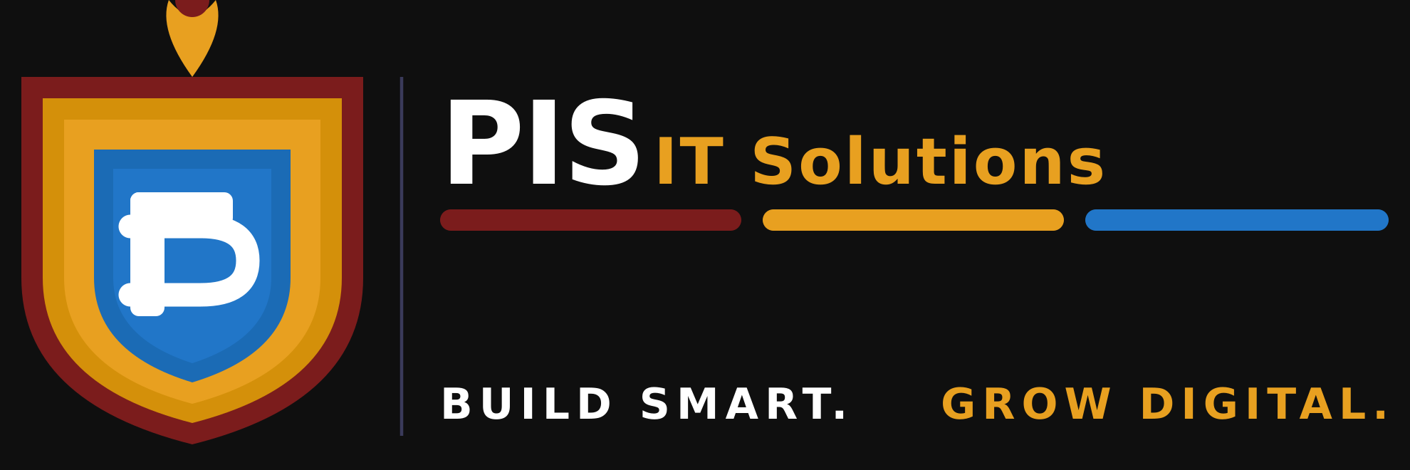PIS IT Solutions — Guwahati, Assam